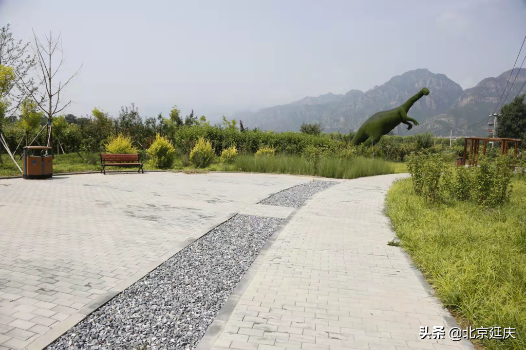 延庆区张山营镇全面提升镇域环境 服务保障冬奥会