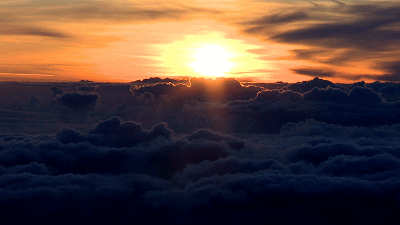 挺身而出是警察的本能