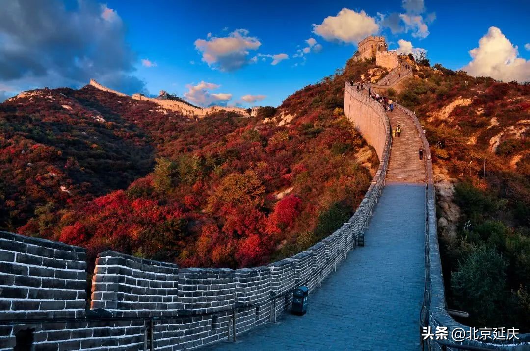 延庆不断推动区域休闲农业高质量发展，努力实现乡村振兴