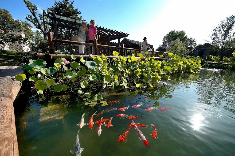 东城：建设“国际一流的和谐宜居之都”首善之区