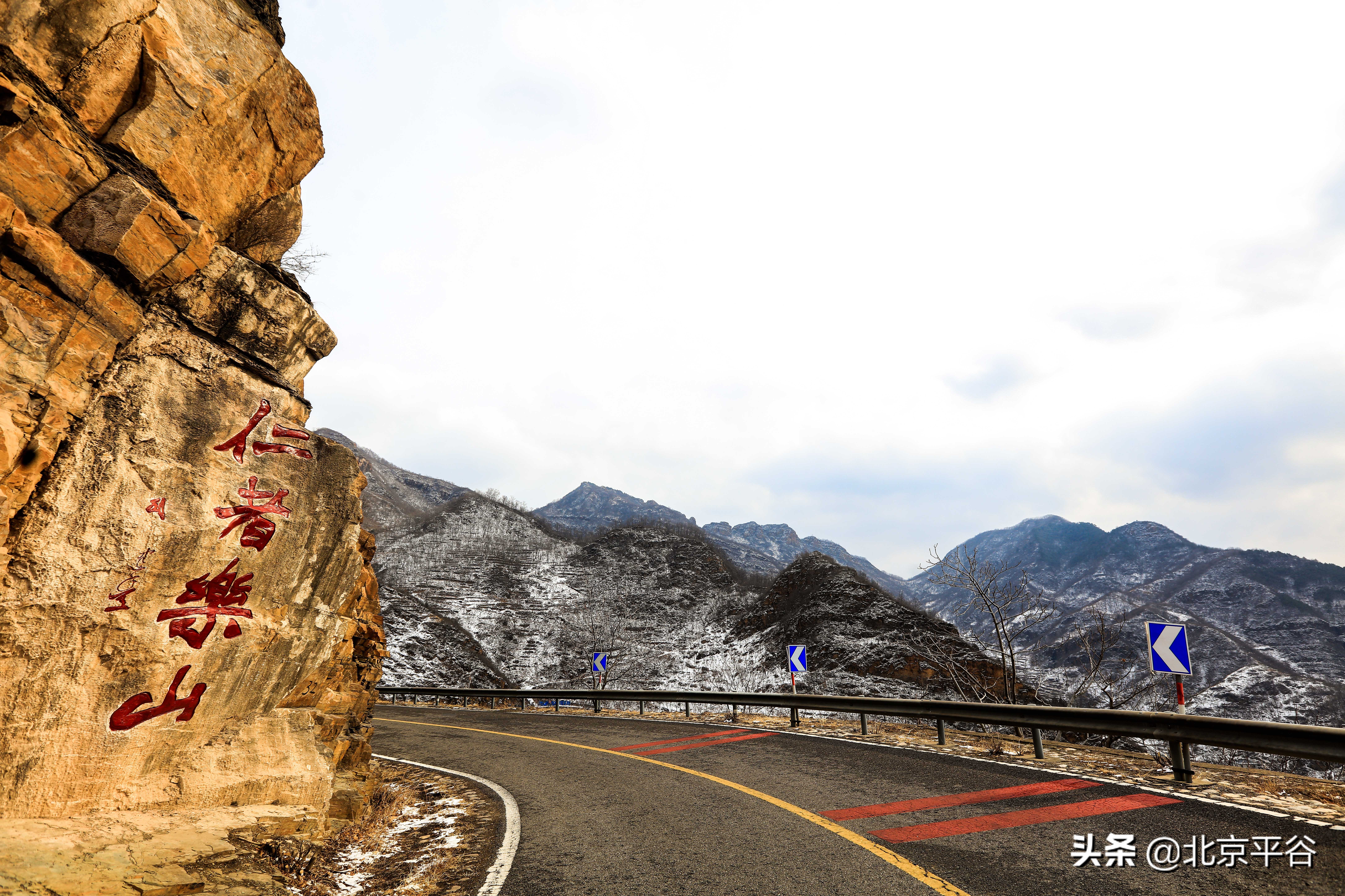 北京平谷 万亩杏花次第开放