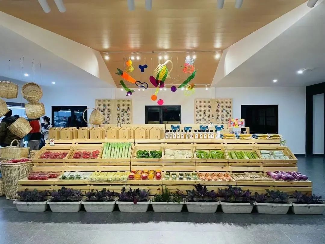 这个蔬艺园，成为推动村庄产业发展的新亮点