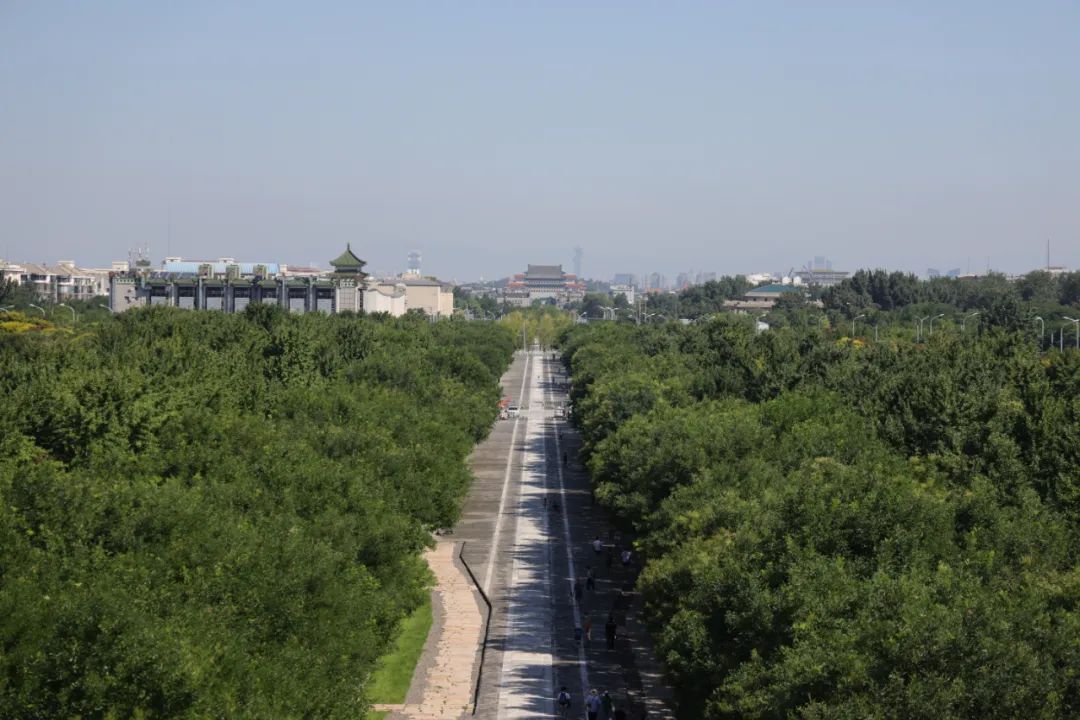 区委书记孙新军调研中轴线申遗工作