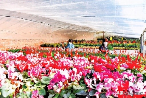 实现高质量绿色发展奋斗新诗篇 延庆奏响新时代欢歌