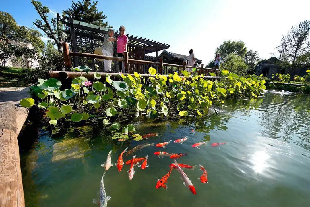 回眸“十三五” | “疏整促”成果丰硕 京津冀协同深化发展