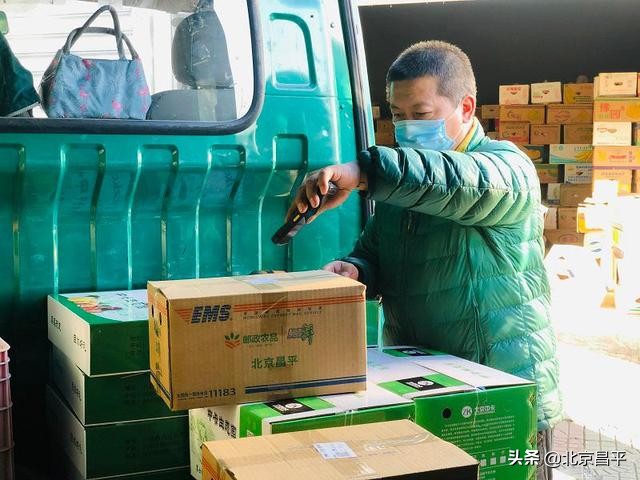 设专线、降邮费！多举措助力果农“减产不减收”