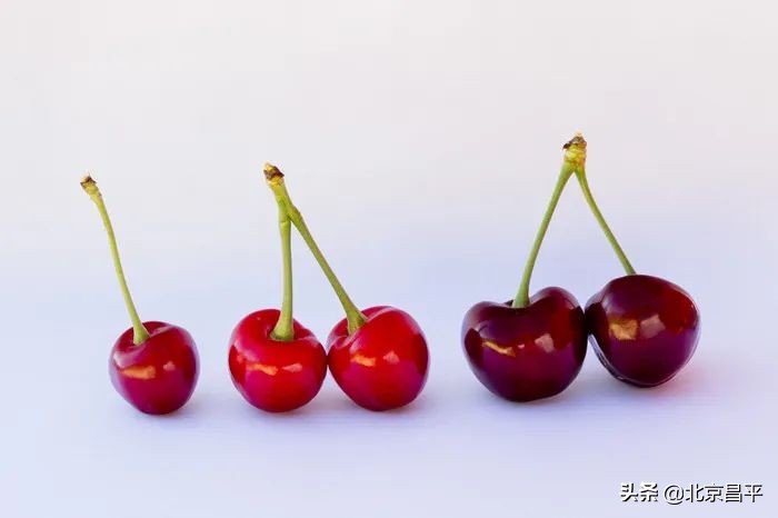 十三陵镇：打通“绿色通道” ，护航樱桃销售！