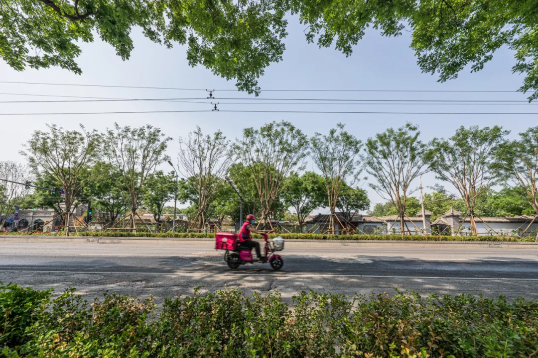 平安大街：绿荫映京韵