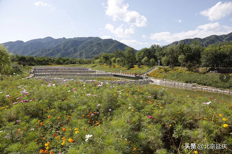 马路宽敞了、文化广场多了、冰雪课程火了......延庆冬奥小镇变了样儿~