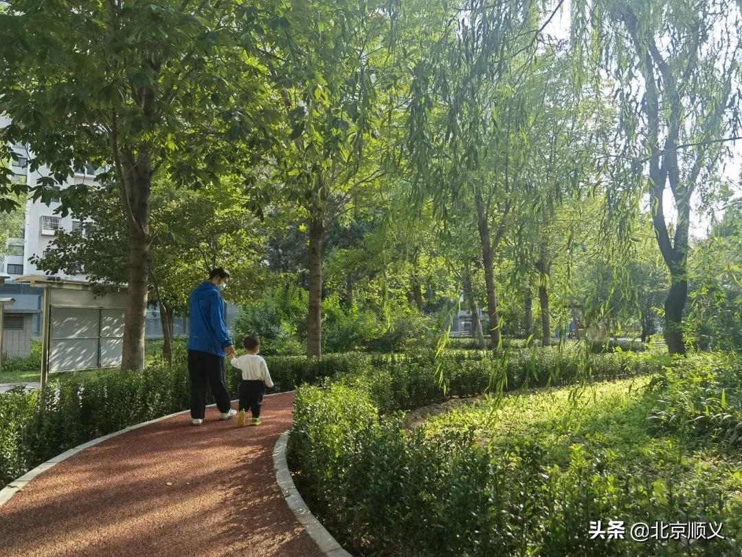 【创城有我】双丰街道不断提升社区景观文化，建设美好宜居家园~