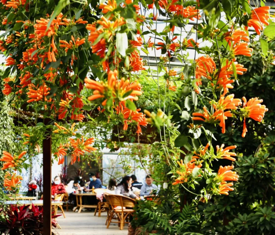 圆梦庆冬奥 正月游丰台——2022丰台正月文化旅游系列活动