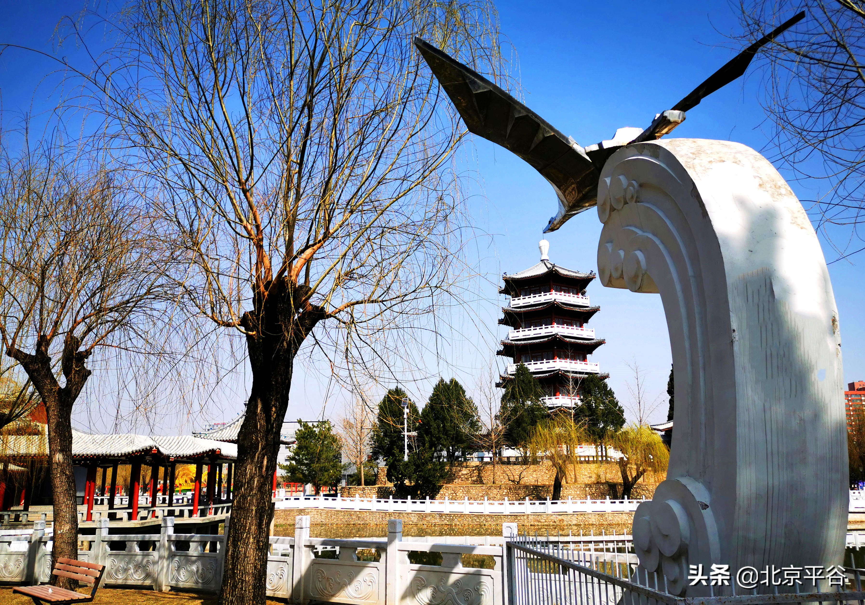 口罩遮住你的脸，却遮不住寻找平谷春天的眼