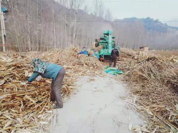 密云区新城子镇全力做好护林防火工作