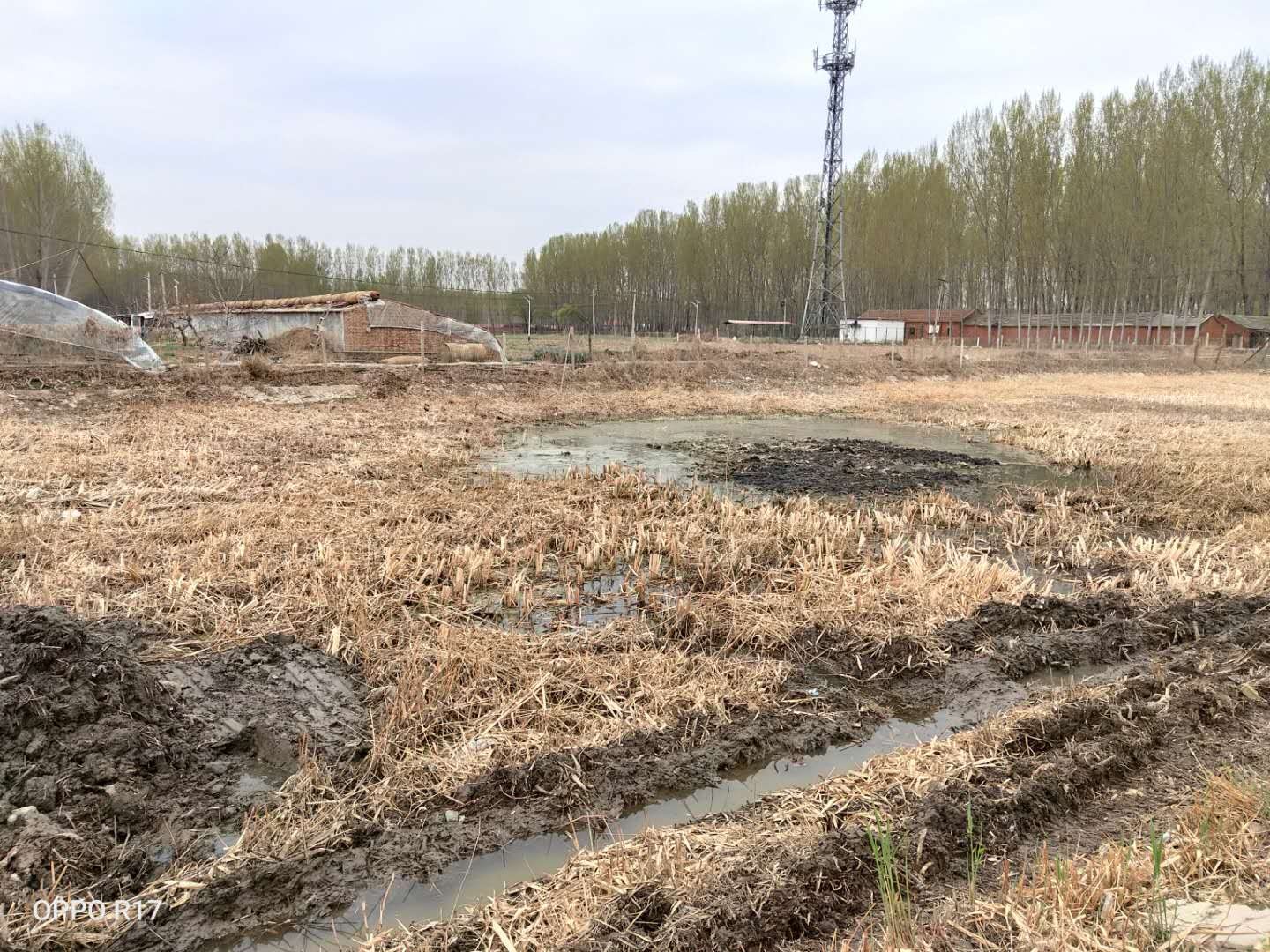 平谷争创“基本无违建区” 乡村面貌换新颜