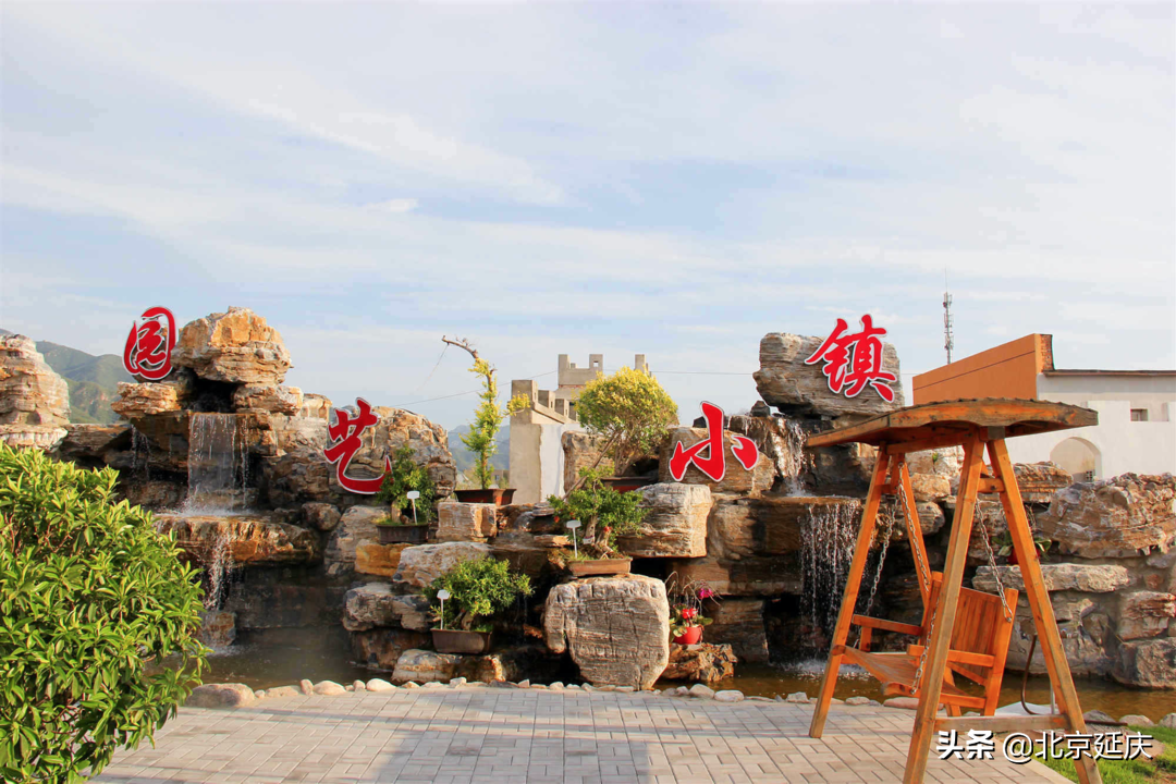 感受浪漫园艺生活 延庆里炮园艺小镇秋日盛景正当时~