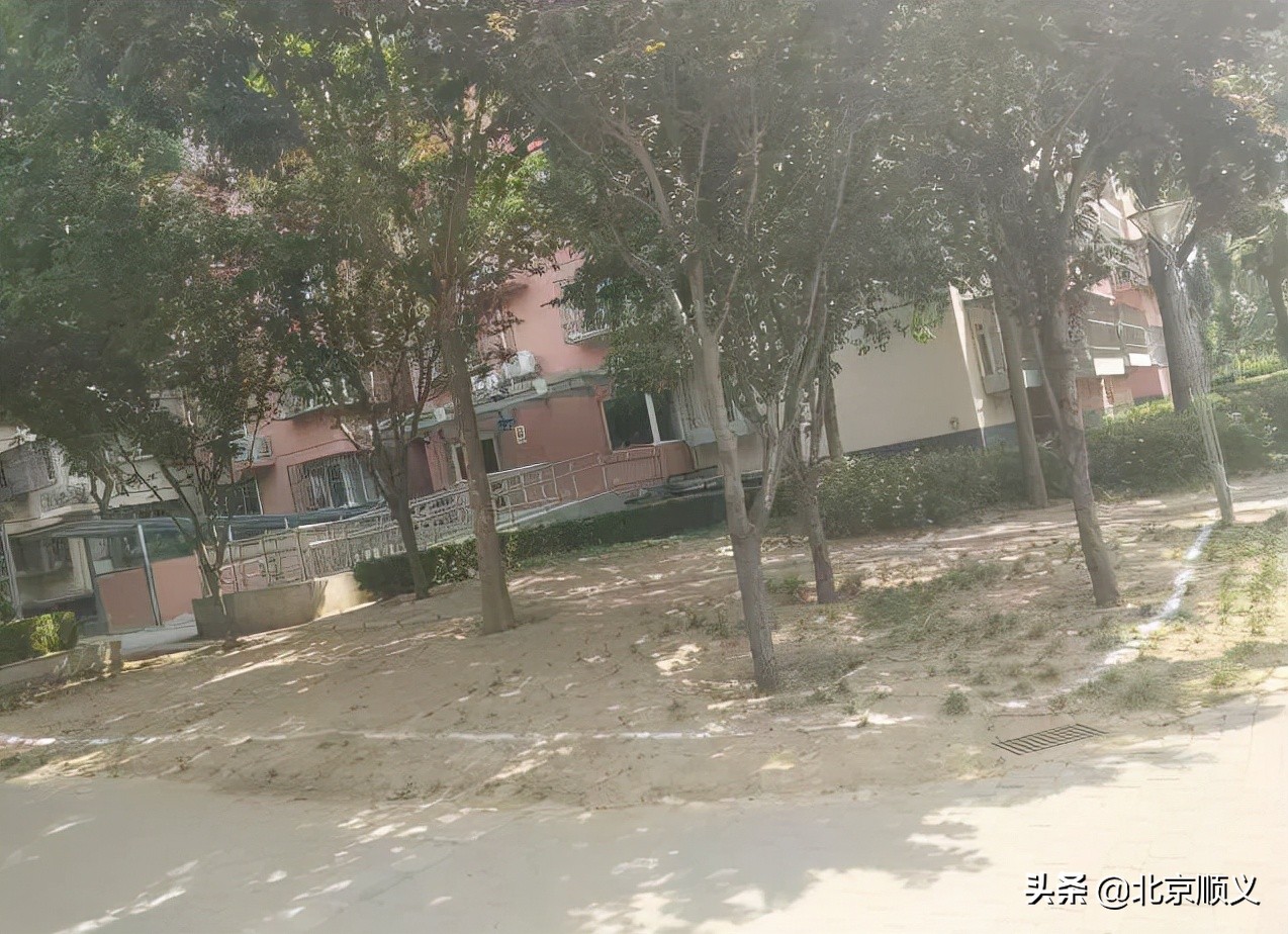 【创城有我】创文明城区，建美好家园，空港街道中粮祥云社区全力助创城~