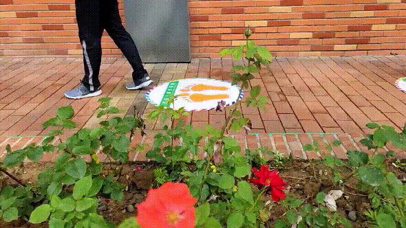 “呼啦圈”变“两米线”隔出最美距离