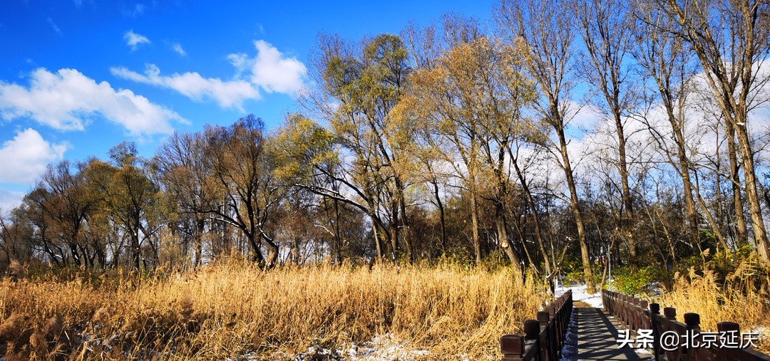 美图来了！最美冬奥城雪后蓝天依旧 诗情画意动人心魄~