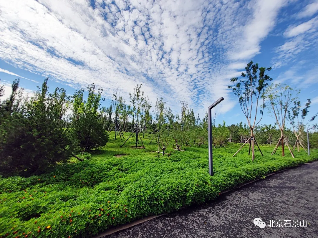衙门口城市森林公园：京西最大规模的留白增绿片区
