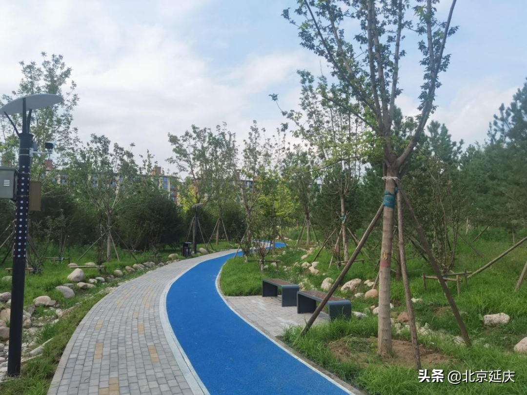 好消息！延庆新添一个森林公园 现已正式开放