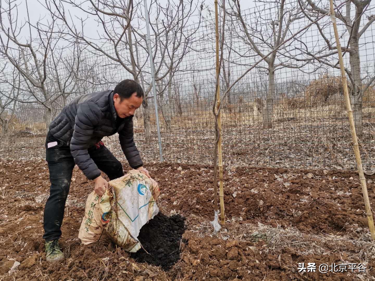 平谷金海湖镇三级联动清“四边”整治提升乡村环境