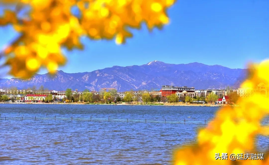 蓝天绿水映延庆 盎然春色入画来~