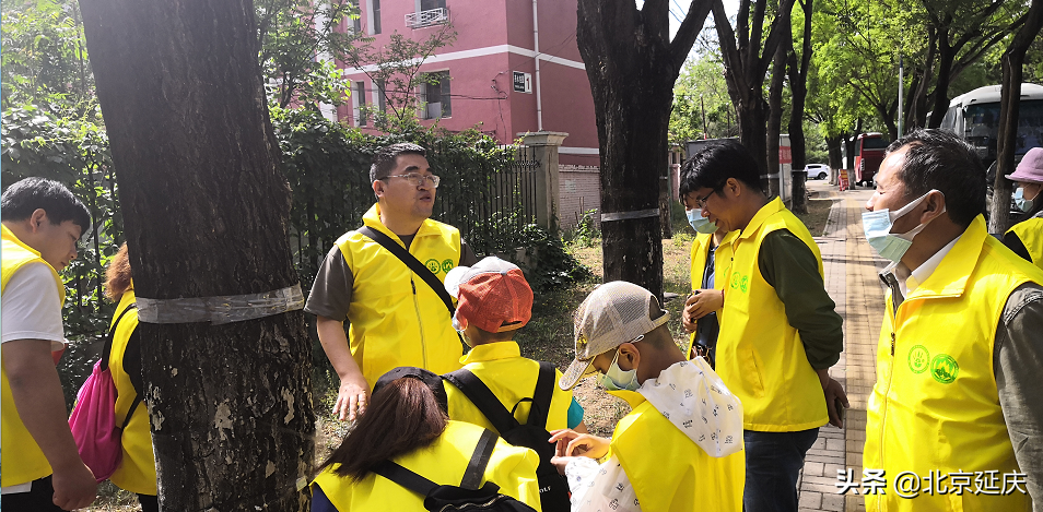 保证延庆赛区周边生态环境不受影响 延庆林业有害生物志愿服务队为冬奥保驾护航