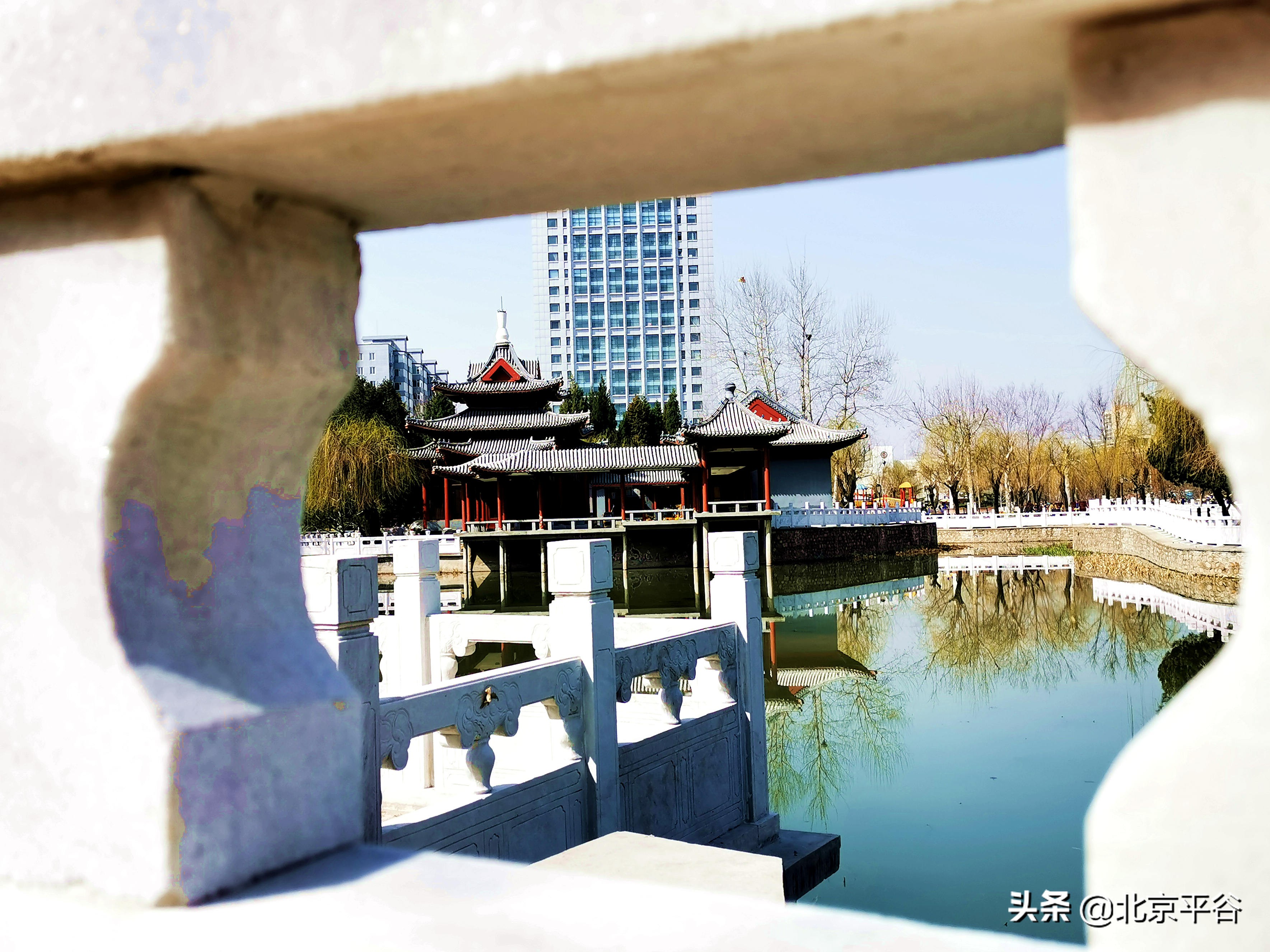 口罩遮住你的脸，却遮不住寻找平谷春天的眼