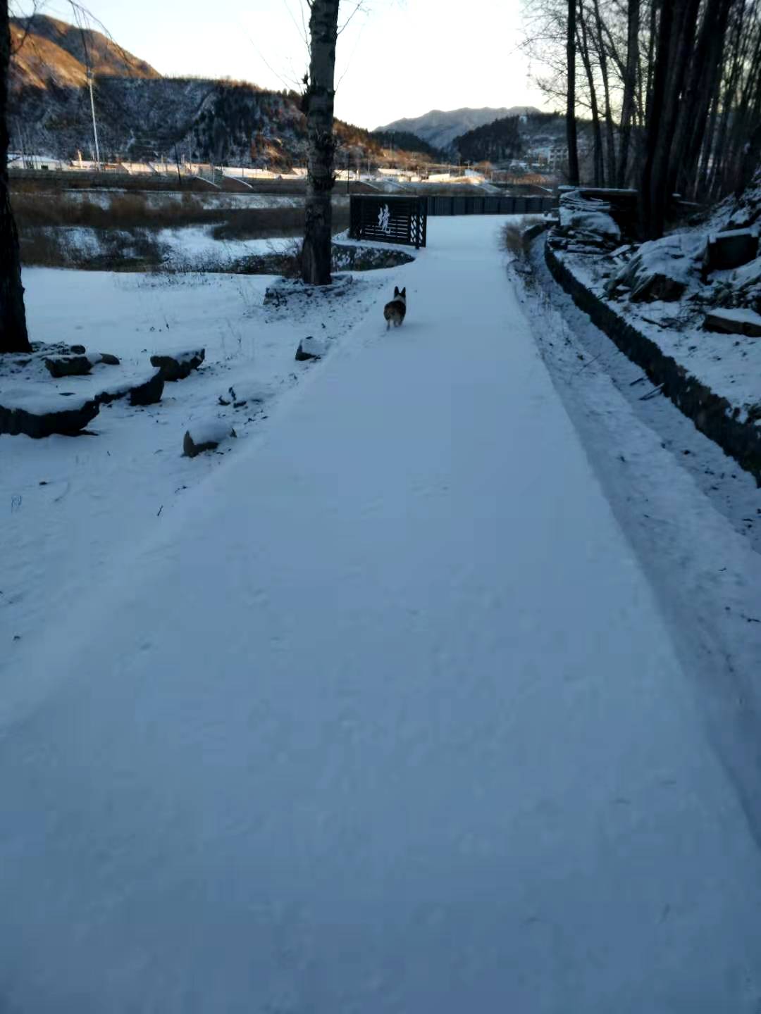 大雪过后，太师屯镇风景美如画