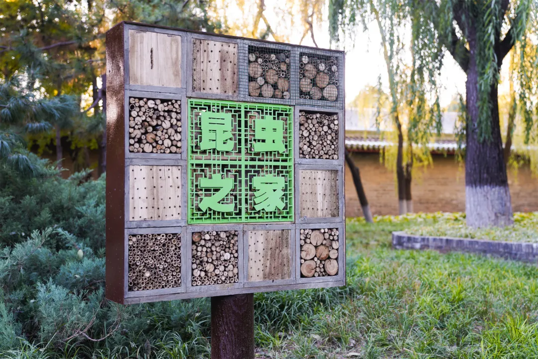 多图实拍！地坛园外园重装开园，打造全龄友好社区公园