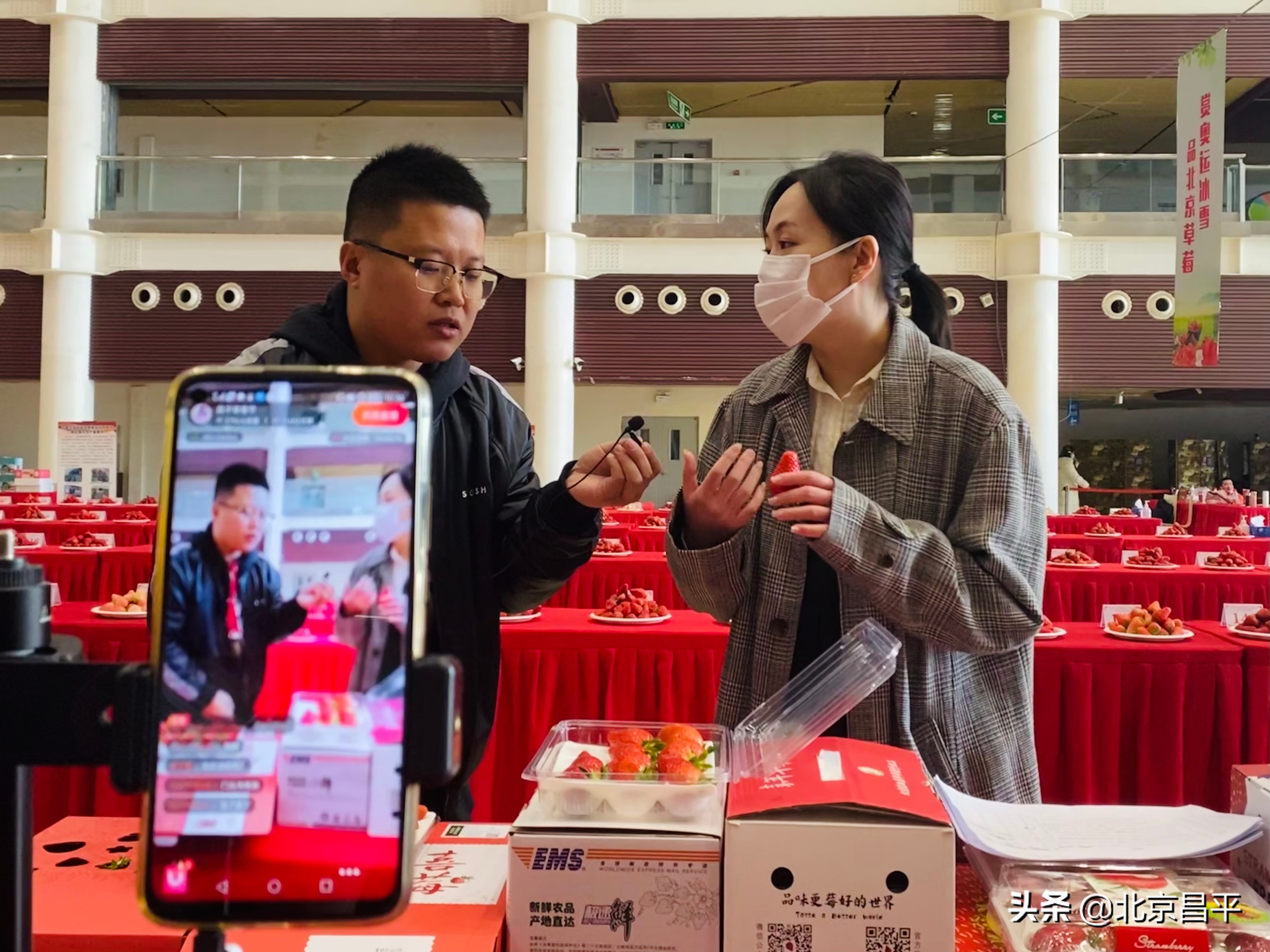 助农直播“邮”我！今儿，昌平草莓是直播间的“爆款”