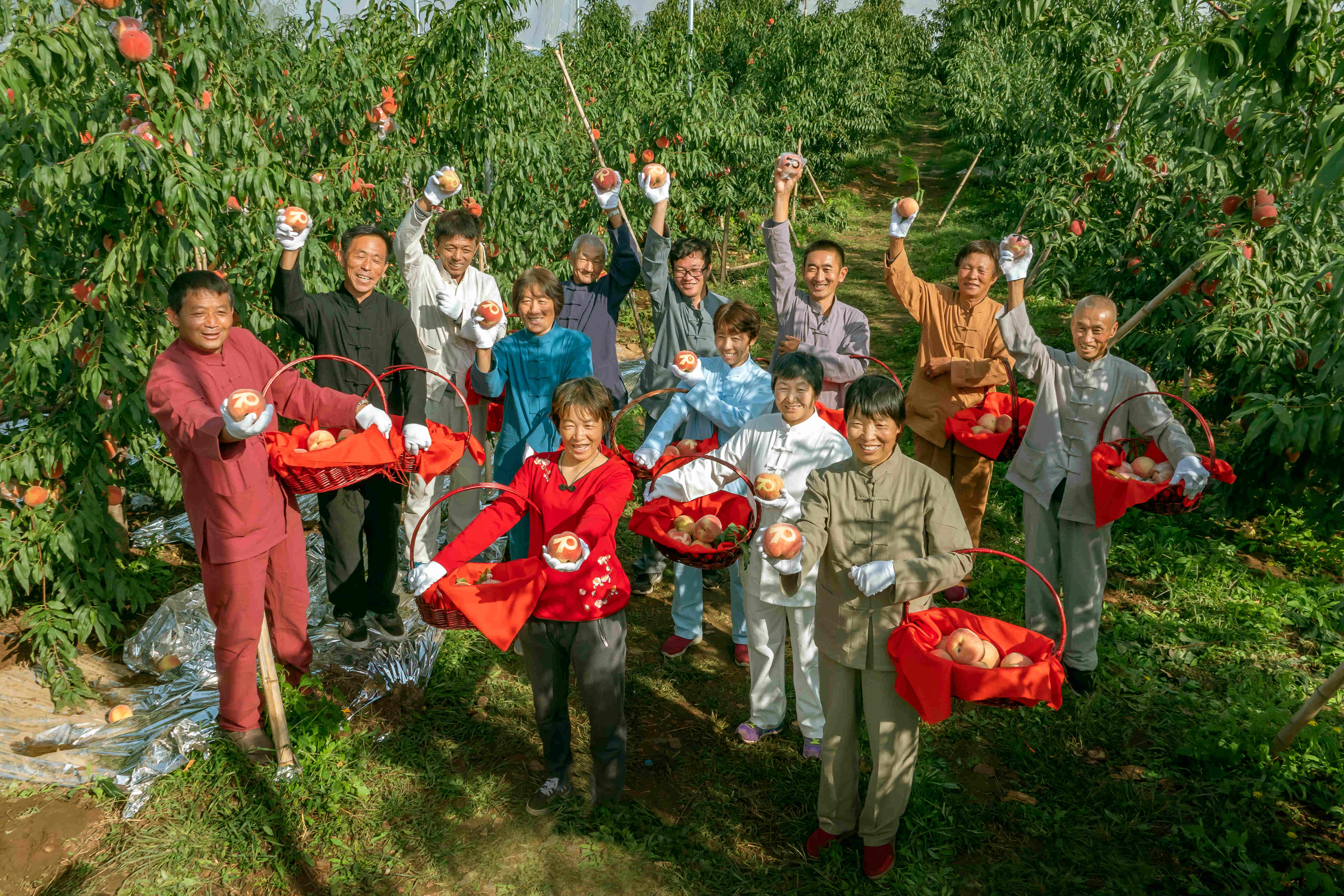 平谷区推出原创现代评剧《国宴桃》献礼“建党100周年”