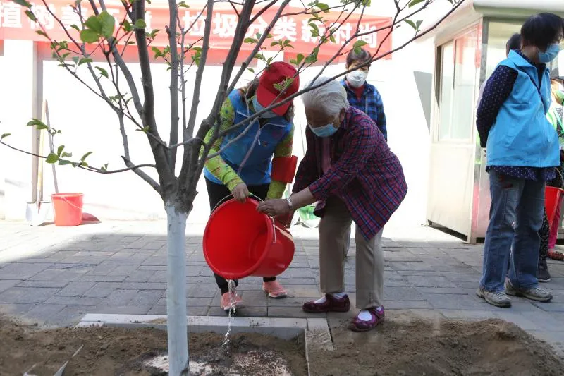 幸福东城 | 这条“问题路” 变身“连心路”！还添了新景观~