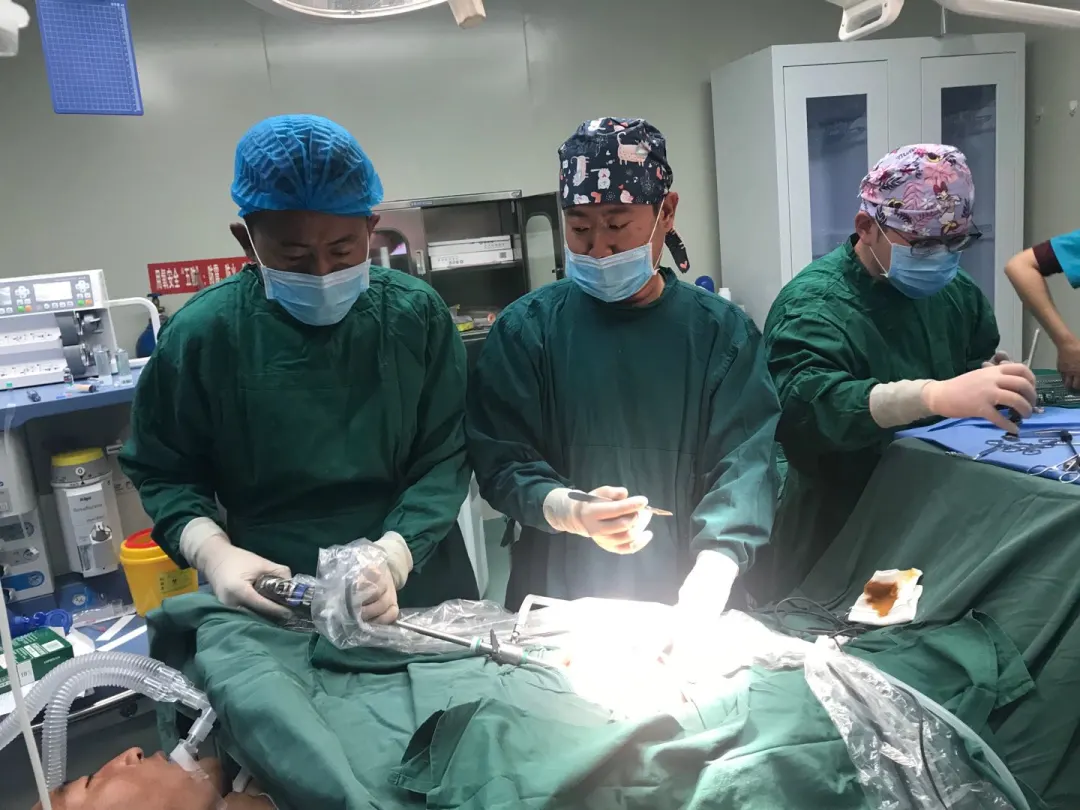 东城医疗援藏队——在纳木错湖边浇灌出最美的格桑花