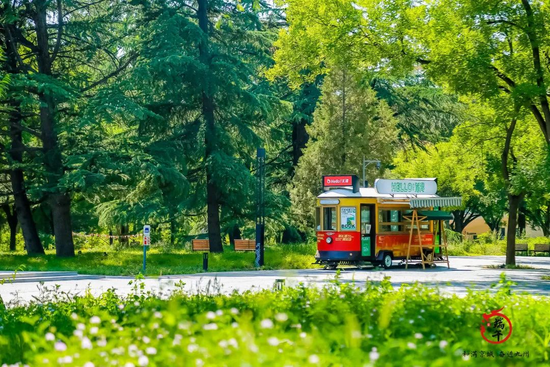 东城区居民“云”上过端午精彩不减