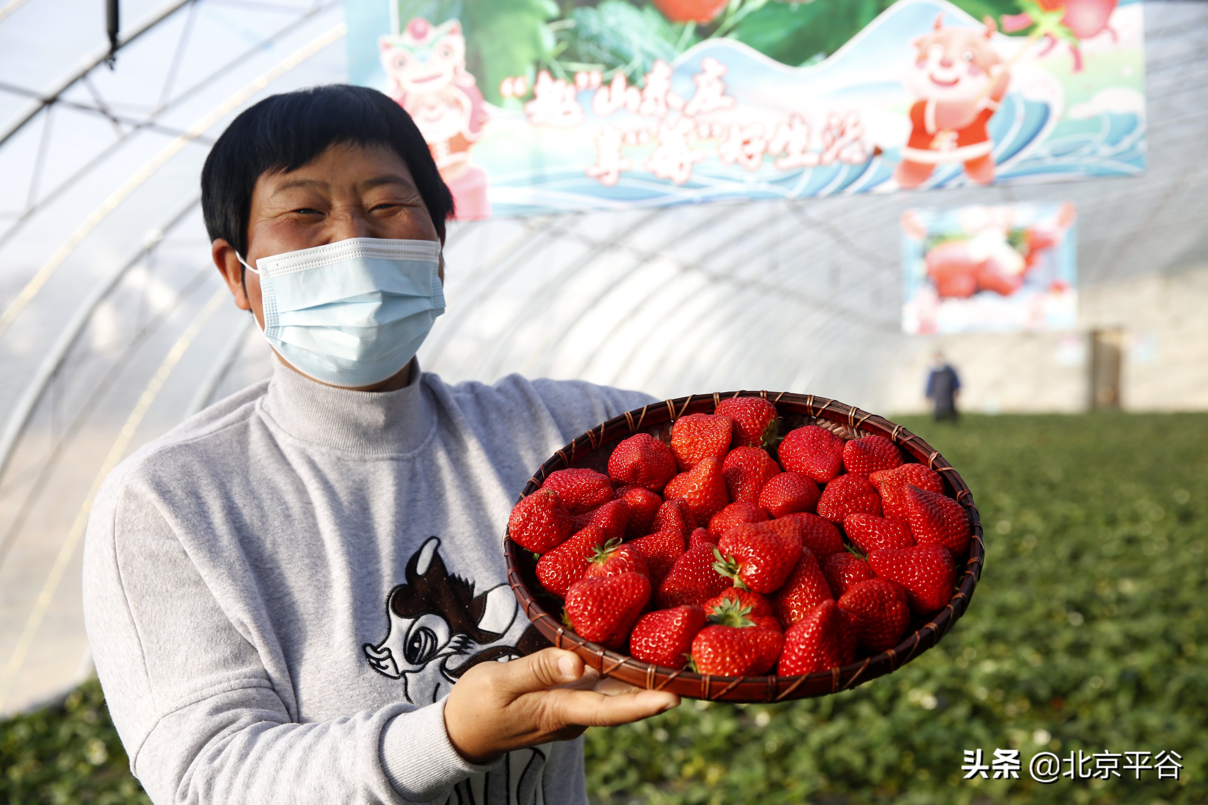 在京平安过大年 “慢”游平谷山东庄