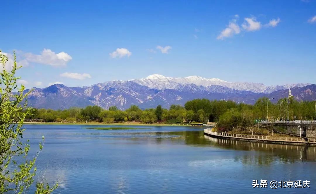 赞！延庆真抓实干，荣获国务院表彰！