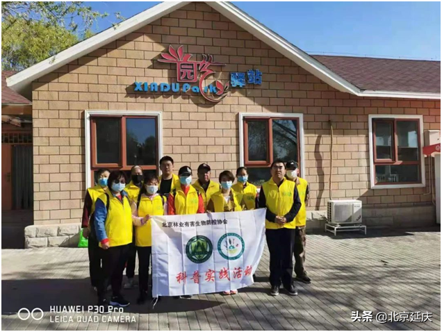 保证延庆赛区周边生态环境不受影响 延庆林业有害生物志愿服务队为冬奥保驾护航