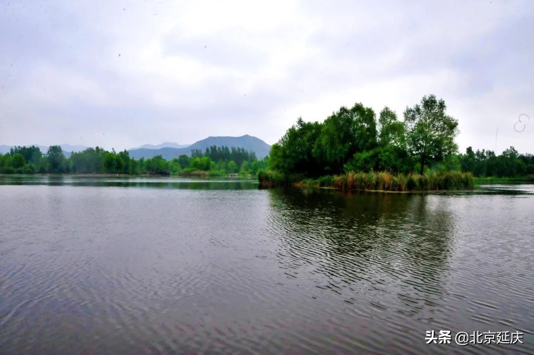 清理河道“肠胃” 守护延庆河清水净