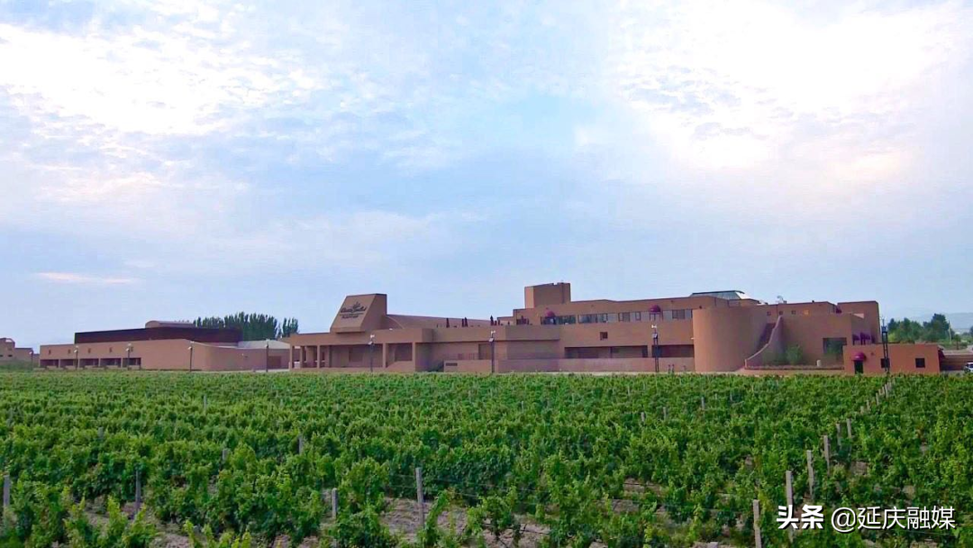 从帮扶到协同发展，延庆帮扶干部高翔：肩上有责任，心中有信念！