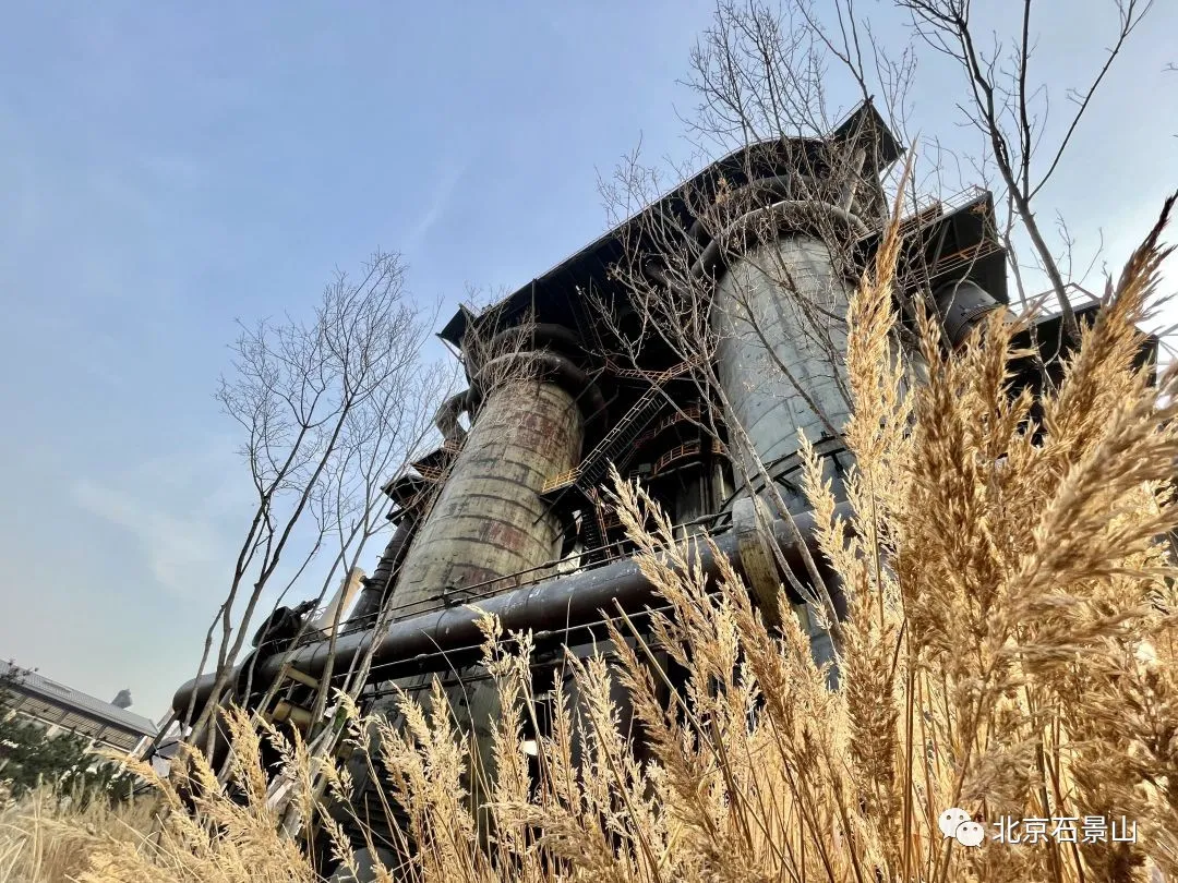 闻老街坊心声 ｜这五年，我的家乡发生了这些变化