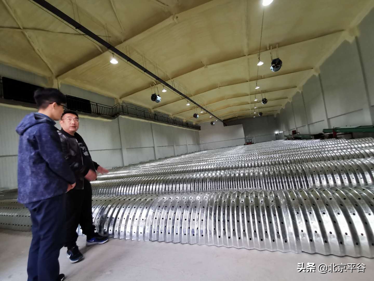 精准扶贫 平谷携手商都让“土豆”变“金豆”