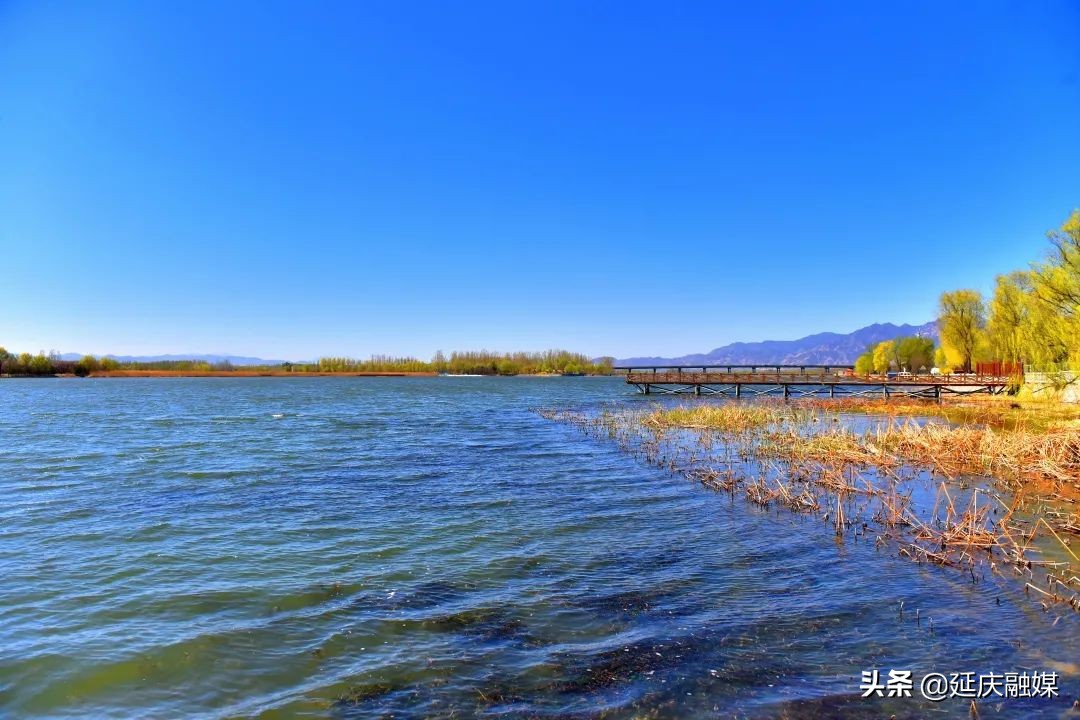 蓝天绿水映延庆 盎然春色入画来~