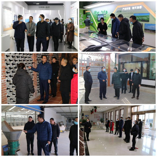 北京援疆率队赴宁夏开展招商引资和产业调研