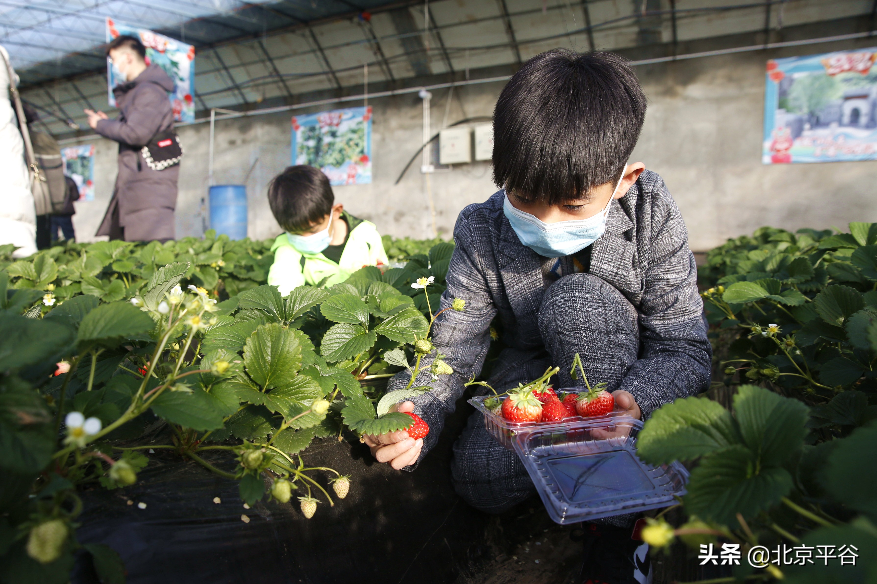 在京平安过大年 “慢”游平谷山东庄
