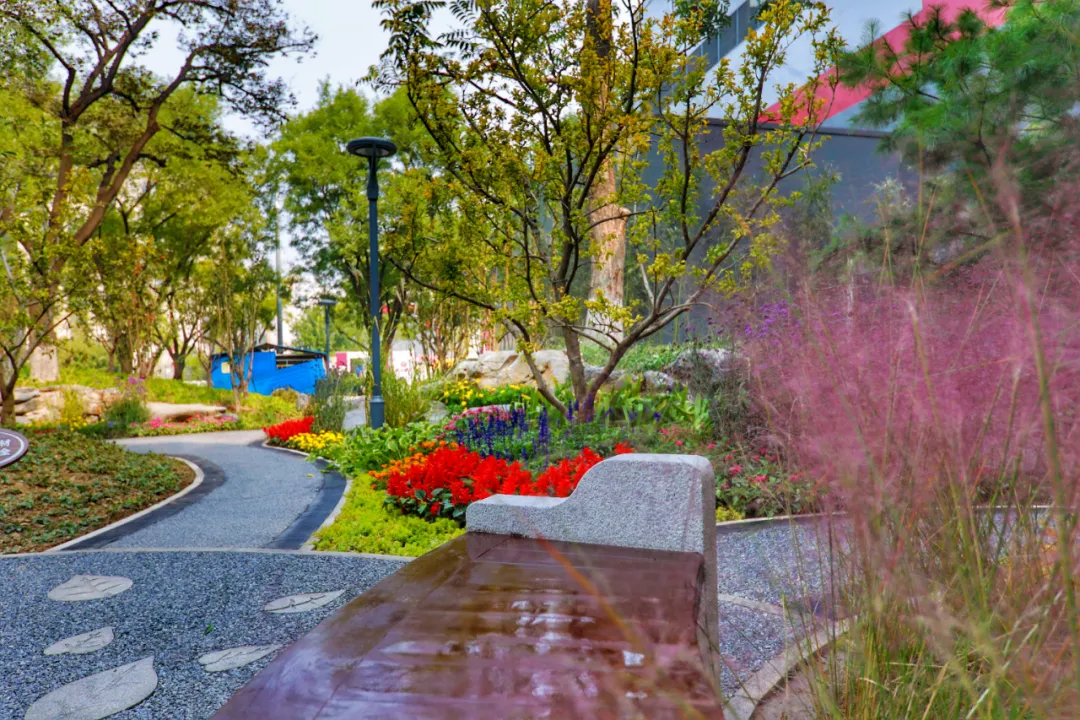 又添一处街心公园，曾经的闲置空地大！变！样！