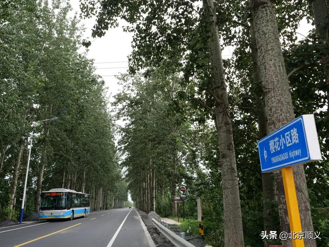 【我为群众办实事】顺义63条乡村公路和1座桥梁建设工程年底完工通车，惠及17个镇！