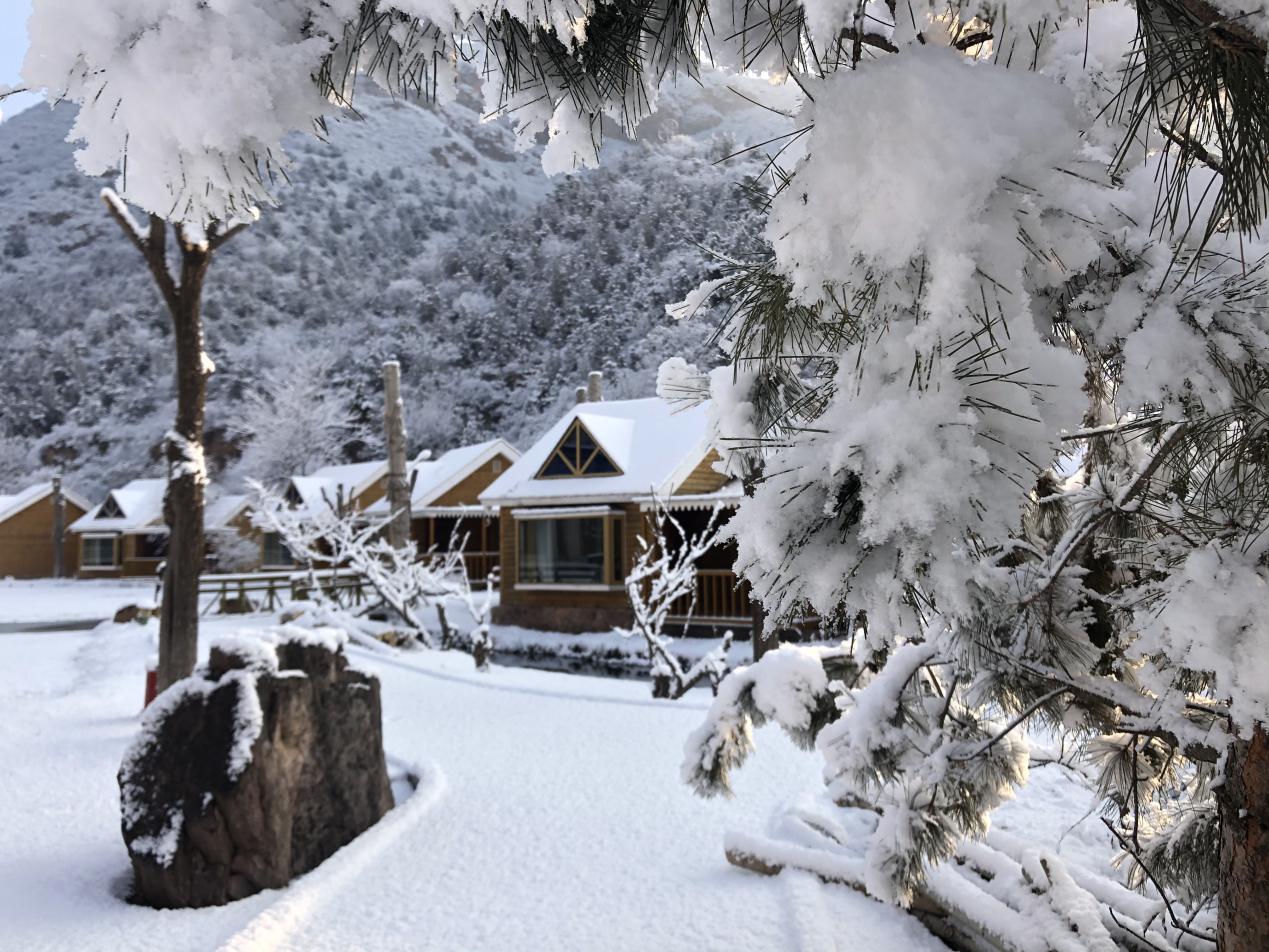 大雪过后，太师屯镇风景美如画