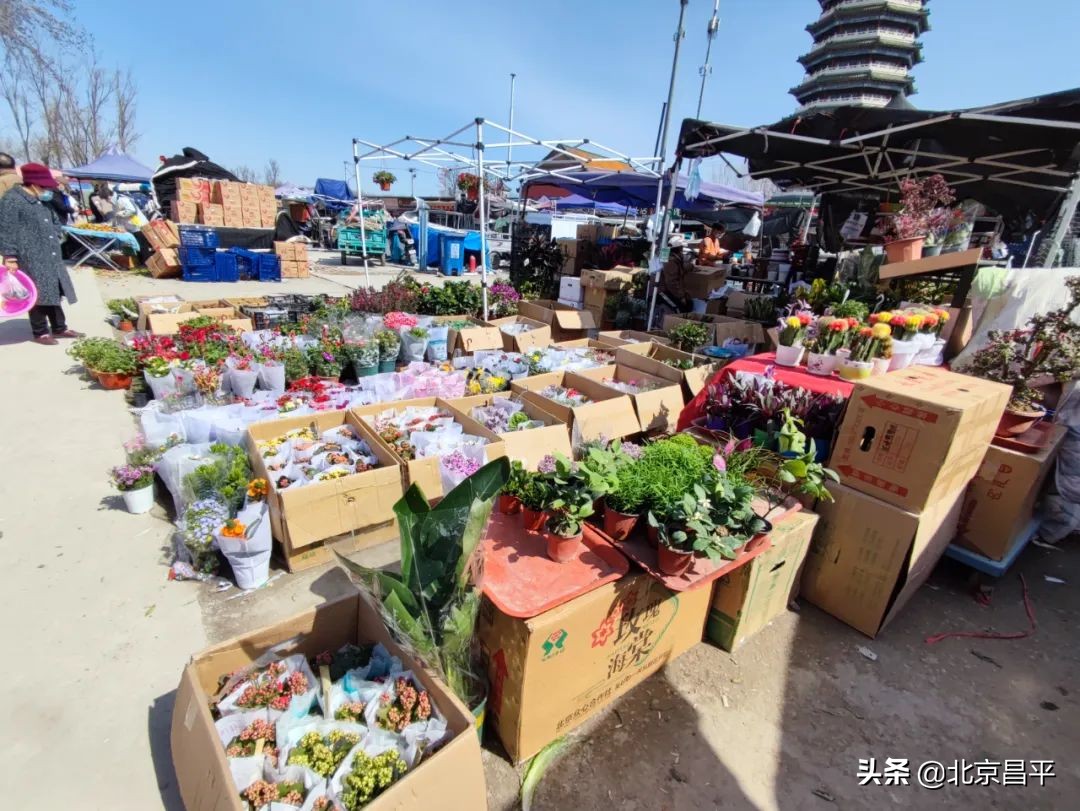 “人间烟火气”！昌平这个集市可以逛起来啦！