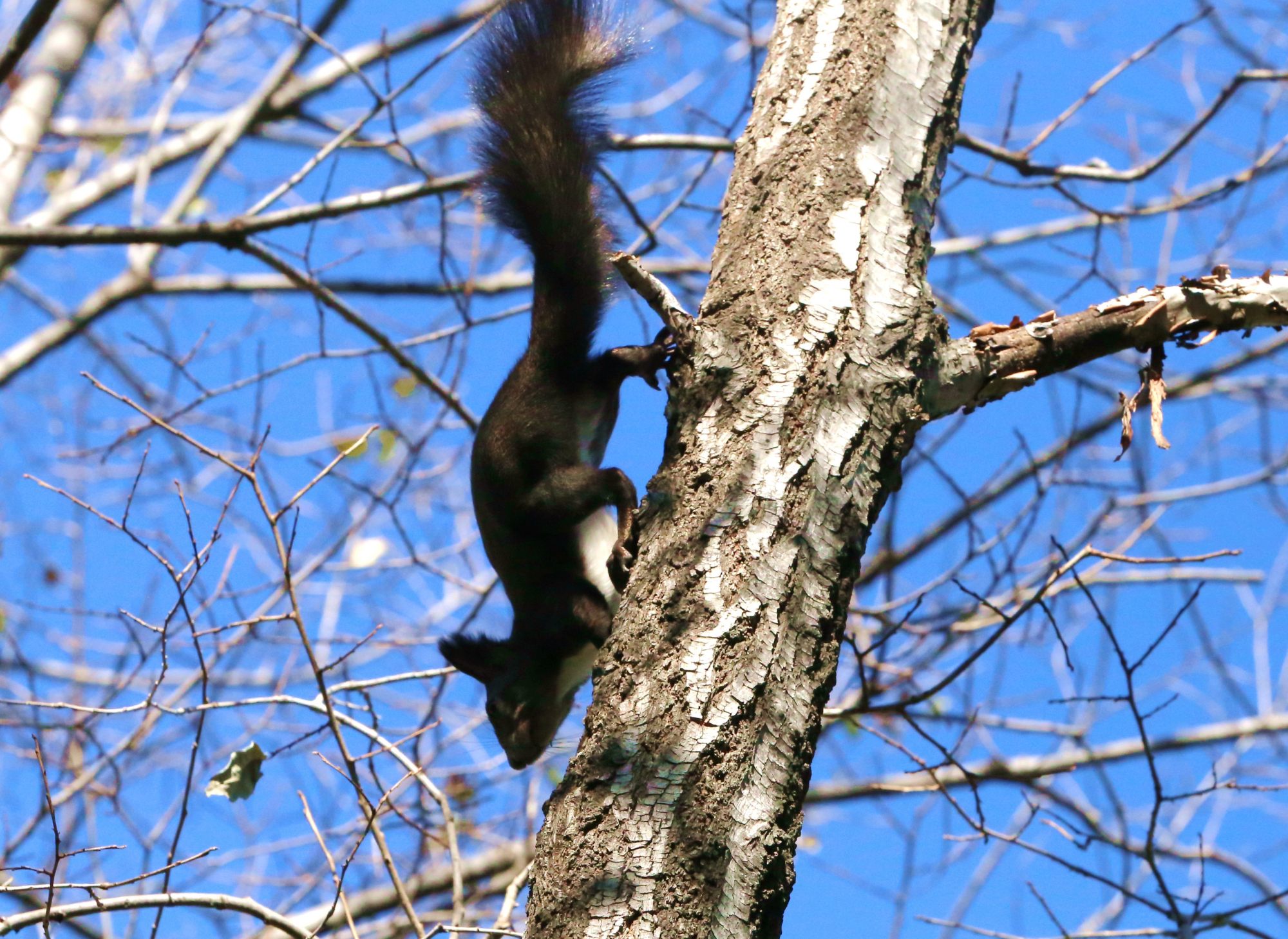 喜迎丰台区第十三次党代会 | 丰台优良天数较2015年增加了100天